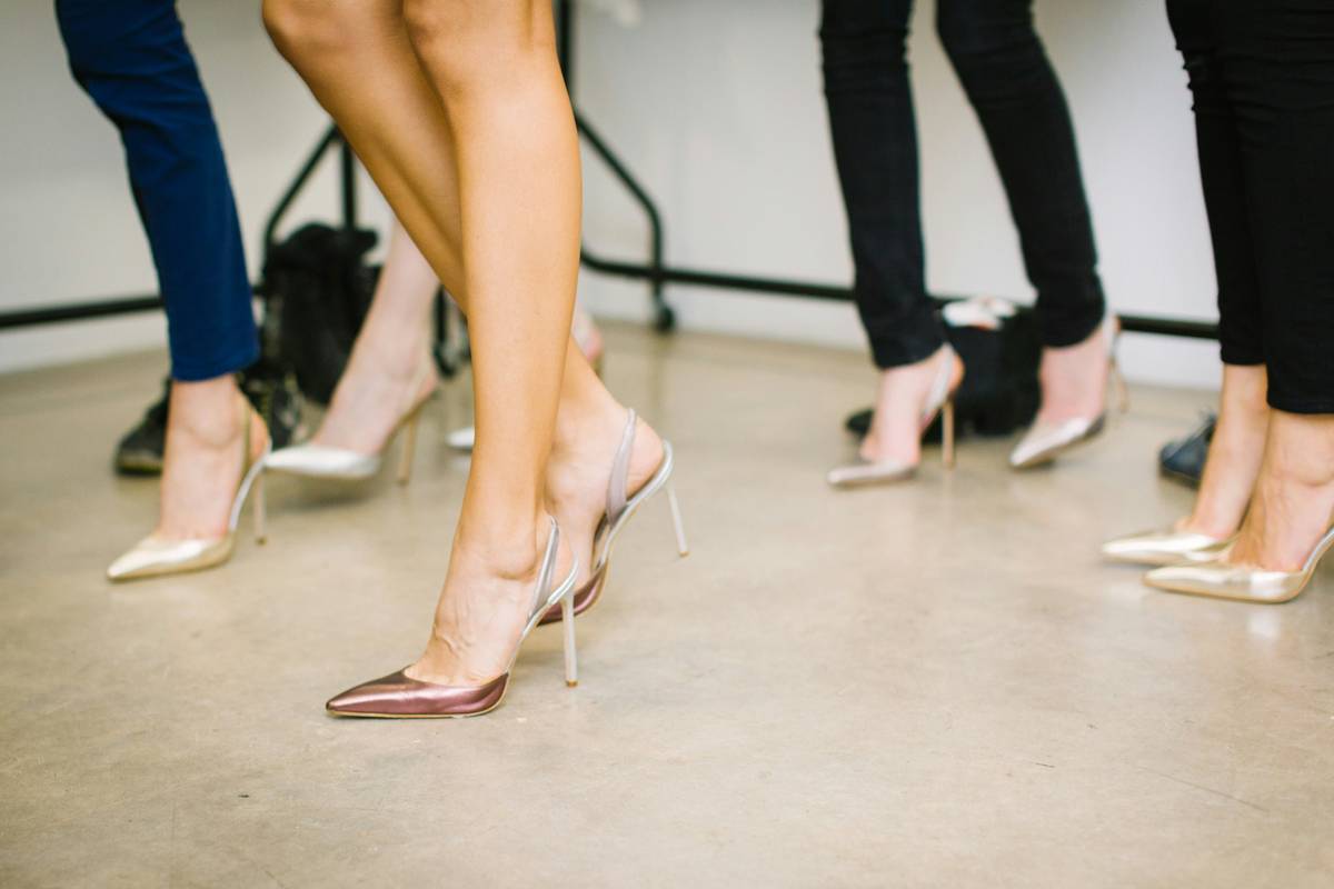 Master Heel Training: Focus Amid Distraations Like a Pro