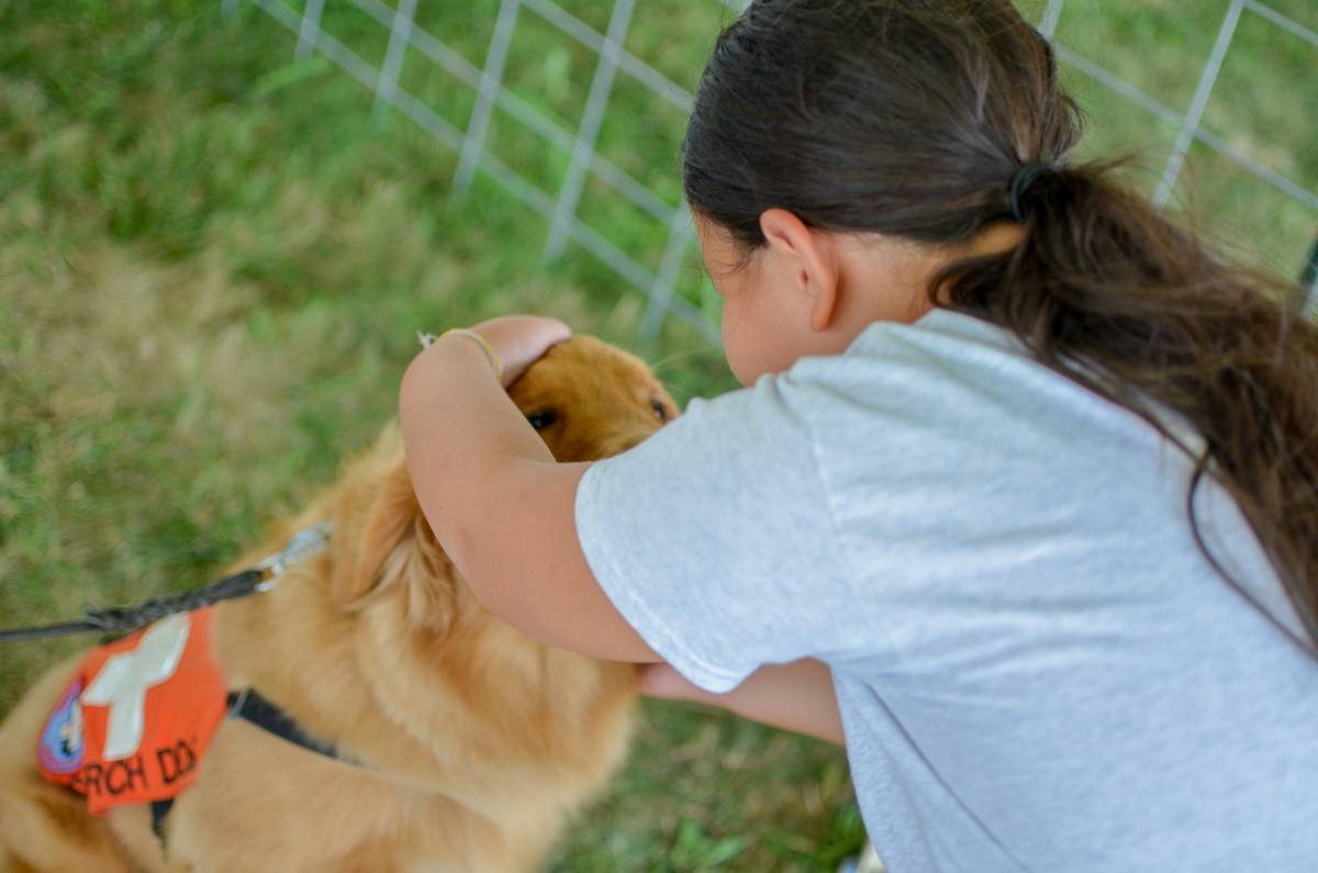 Dog performing Heel for Competitions with perfect shoulder alignment and attentive expression