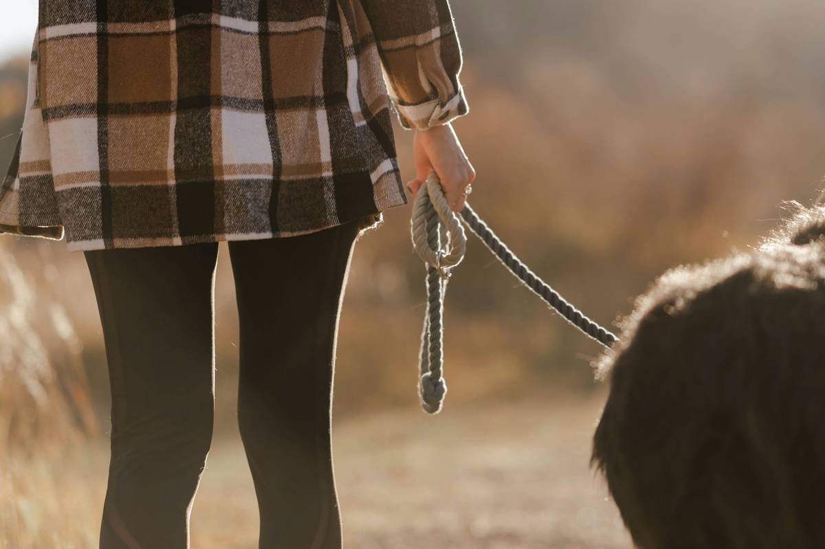 Heel with Verbal Cues: 7 Proven Tips to Avoid Costly Mistakes