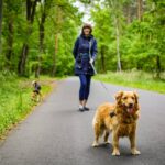 Heel Training for Puppies: 7 Proven Tips to Avoid Frustrating Setbacks